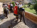 151. Jaipur 1